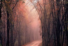 开云体育官网-关键时刻球员挺身而出，决定比赛胜负