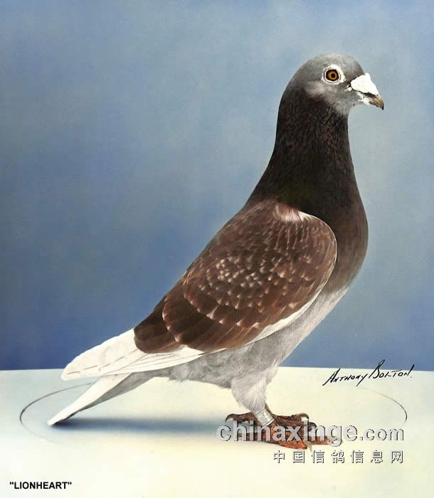 摩纳哥迎战圣埃蒂安:冠军路上再续辉煌的简单介绍 摩纳哥迎战圣埃蒂安:冠军路上再续辉煌的简单介绍